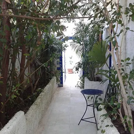 Hotel apartamentowy Mistral *